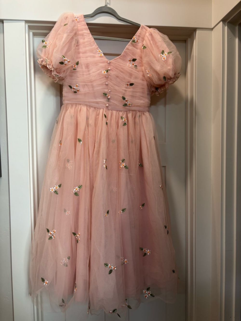Blush Pink Puff-Sleeve Embroidered Tulle Dress